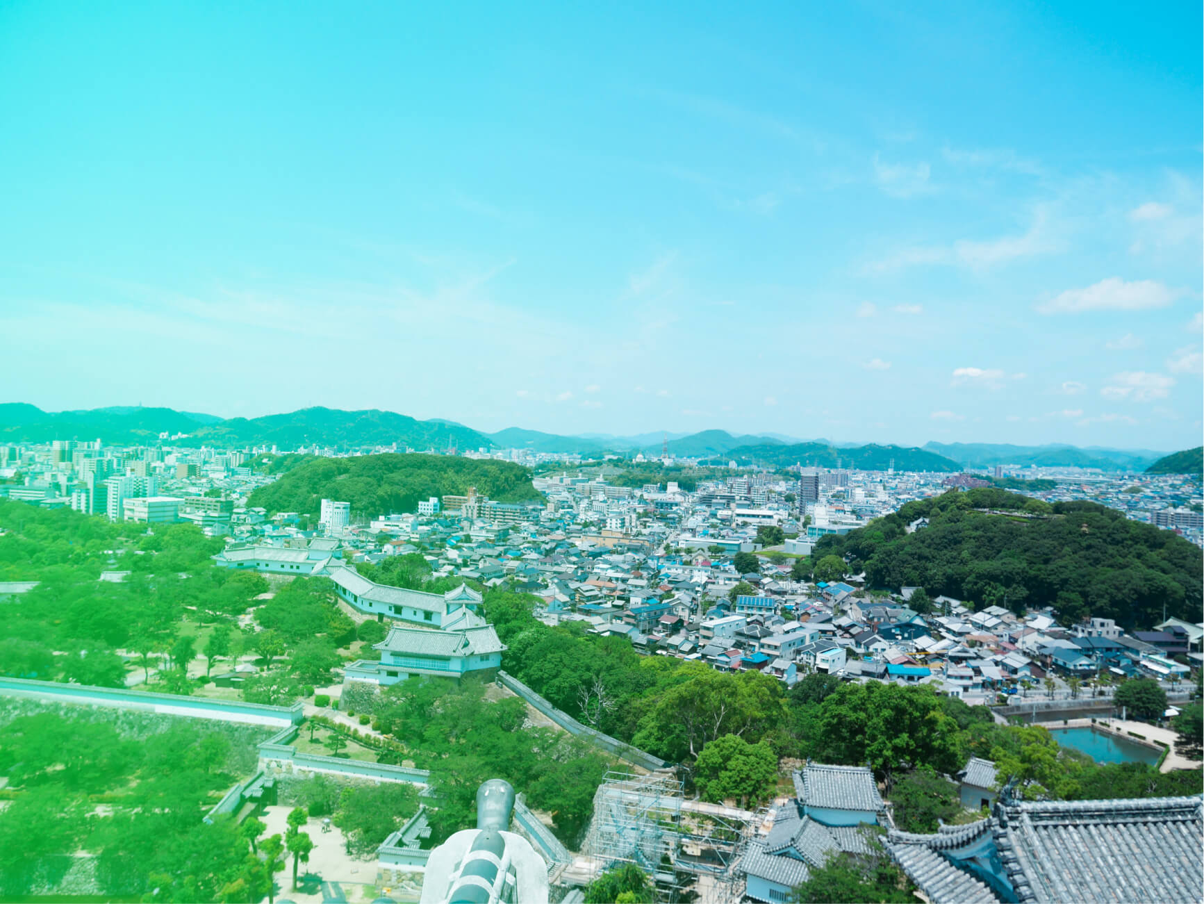 航空写真